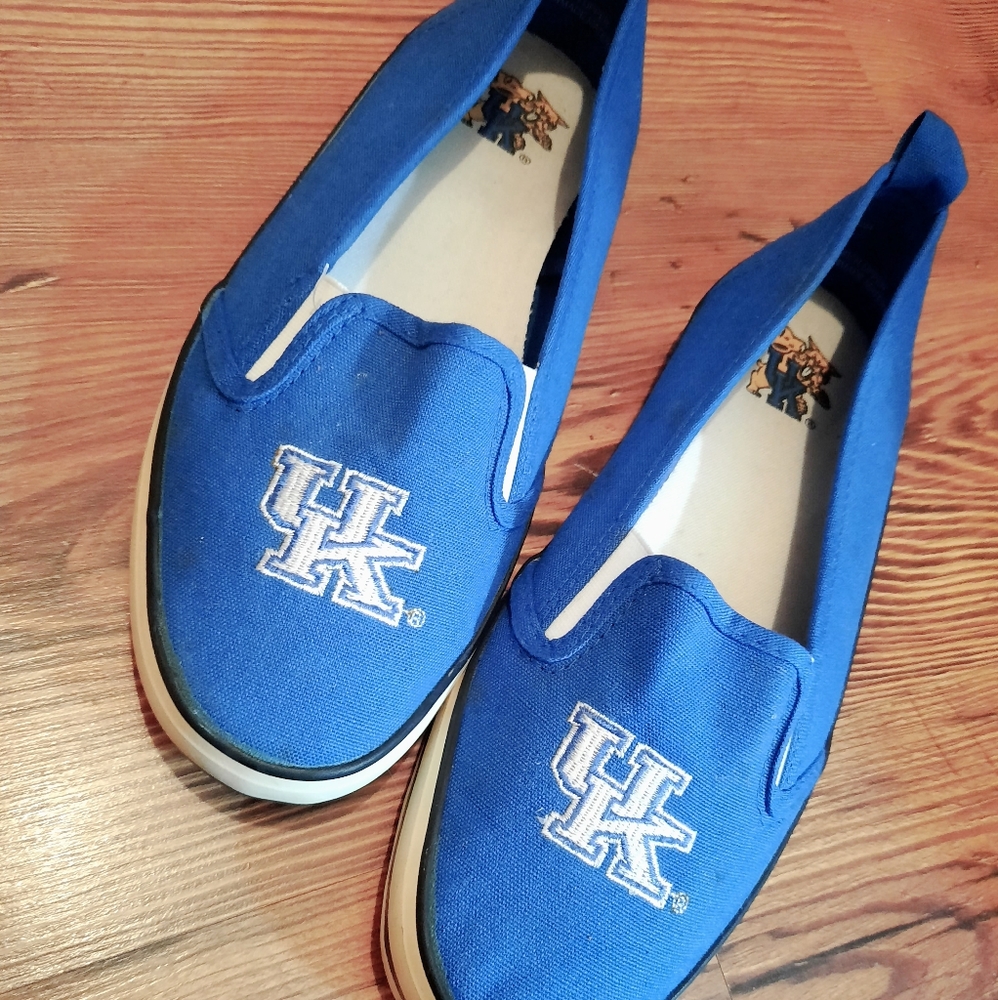 Kentucky wildcats